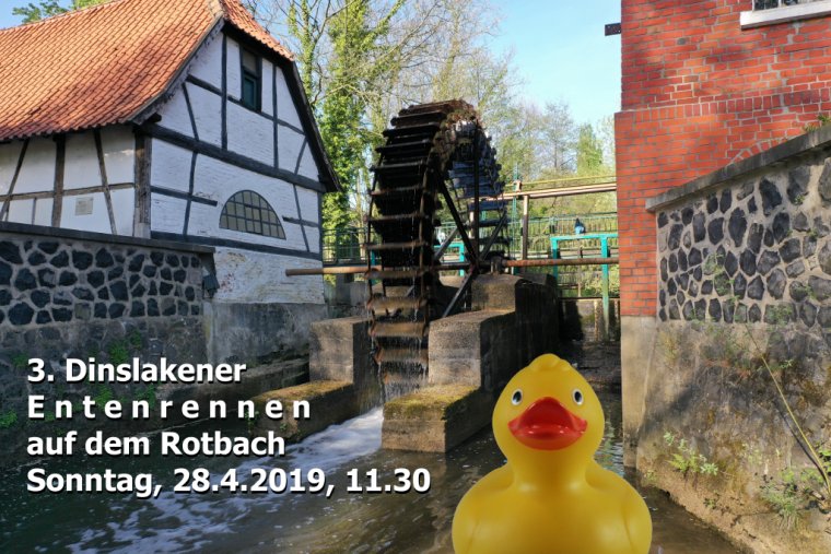 Gelbe Gummi-Ente auf dem Rotbach (Fotocollage)