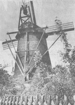 Die Mühle von hinten 1974